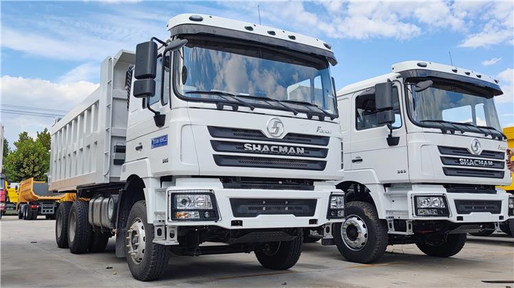Shacman F3000 10 Wheeler Dump Truck Price for Sale